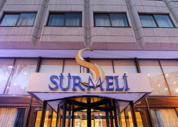ホテル Surmeli 5*